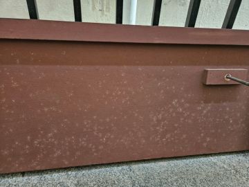 Mold Removal Expert - Domestic Services