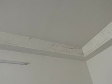 Cleaning - Domestic Services
