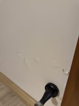 Mold Removal Expert