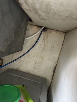 Mold Inspection and Removal