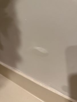 Mold Inspection and Removal