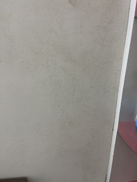 Mold Inspection and Removal