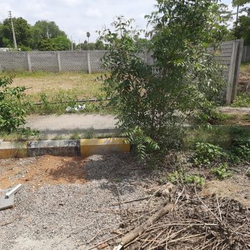 Land Clearance