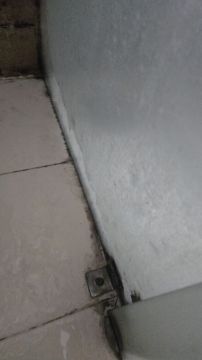 Mold Inspection and Removal