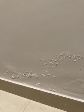 Mold Removal Expert - Domestic Services