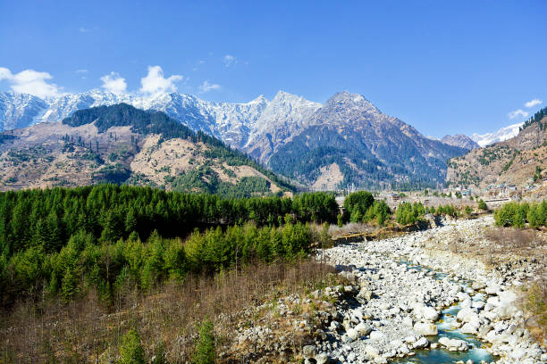Vayable Trip - Shimla Urban(T) - Travel Agency