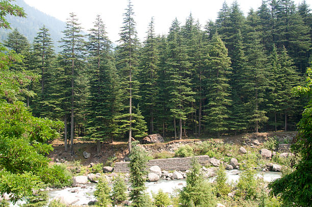 Vayable Trip - Shimla Urban(T) - Travel Agency Services