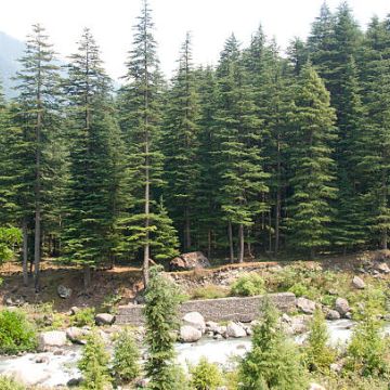 Vayable Trip - Shimla Urban(T) - Travel Agency Services