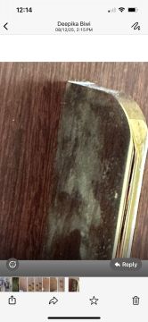 Mold Inspection and Removal - Cleaning