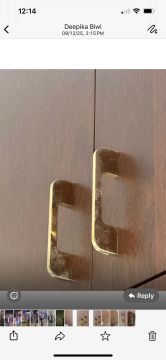 Mold Removal Expert