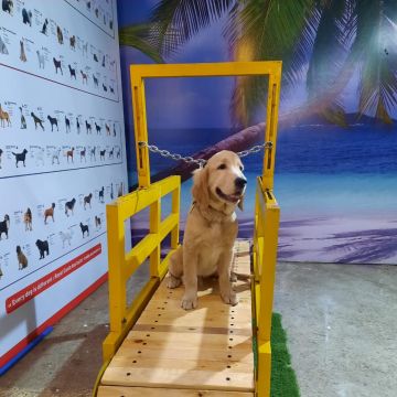 CANINE PRODUCTS - Mumbai - Window Blinds Cleaning