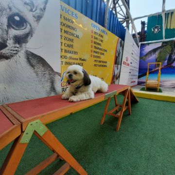 CANINE PRODUCTS - Mumbai - Patio Cover Repair and Maintenance