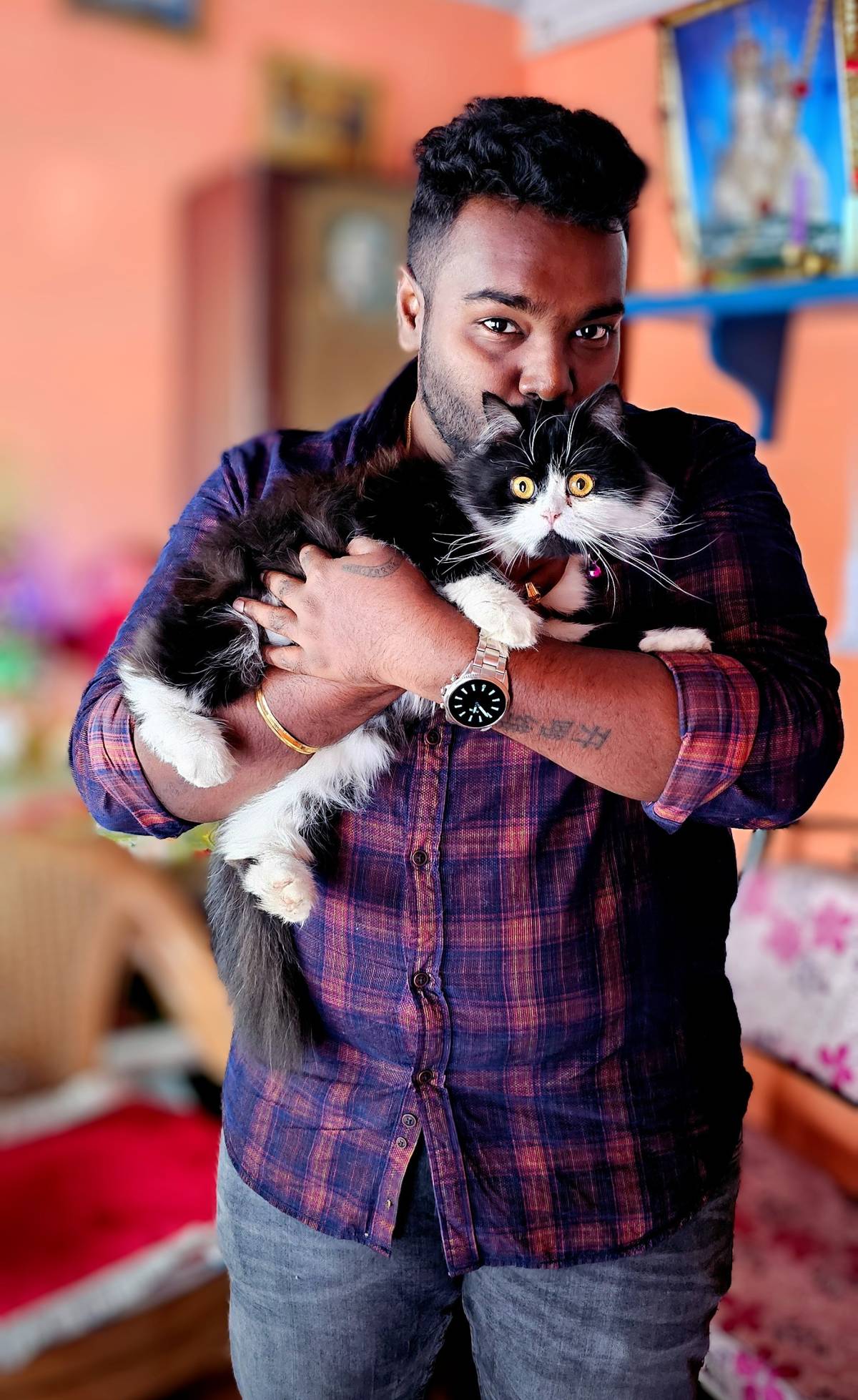 Pet sitter - Tambaram - Cat Sitting