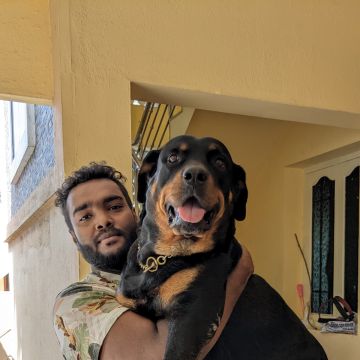 Pet sitter - Tambaram - Dog Walking