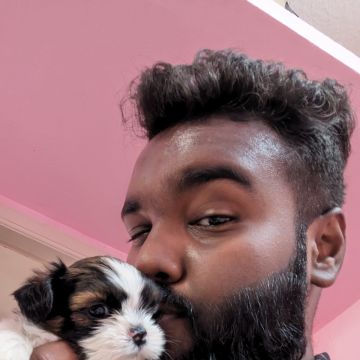 Pet sitter - Tambaram - Dog Sitting