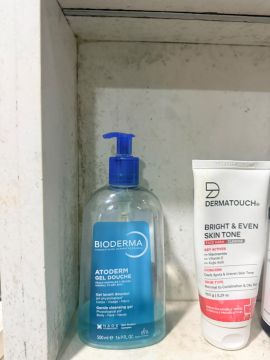 Mold Inspection and Removal