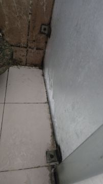 Mold Inspection and Removal
