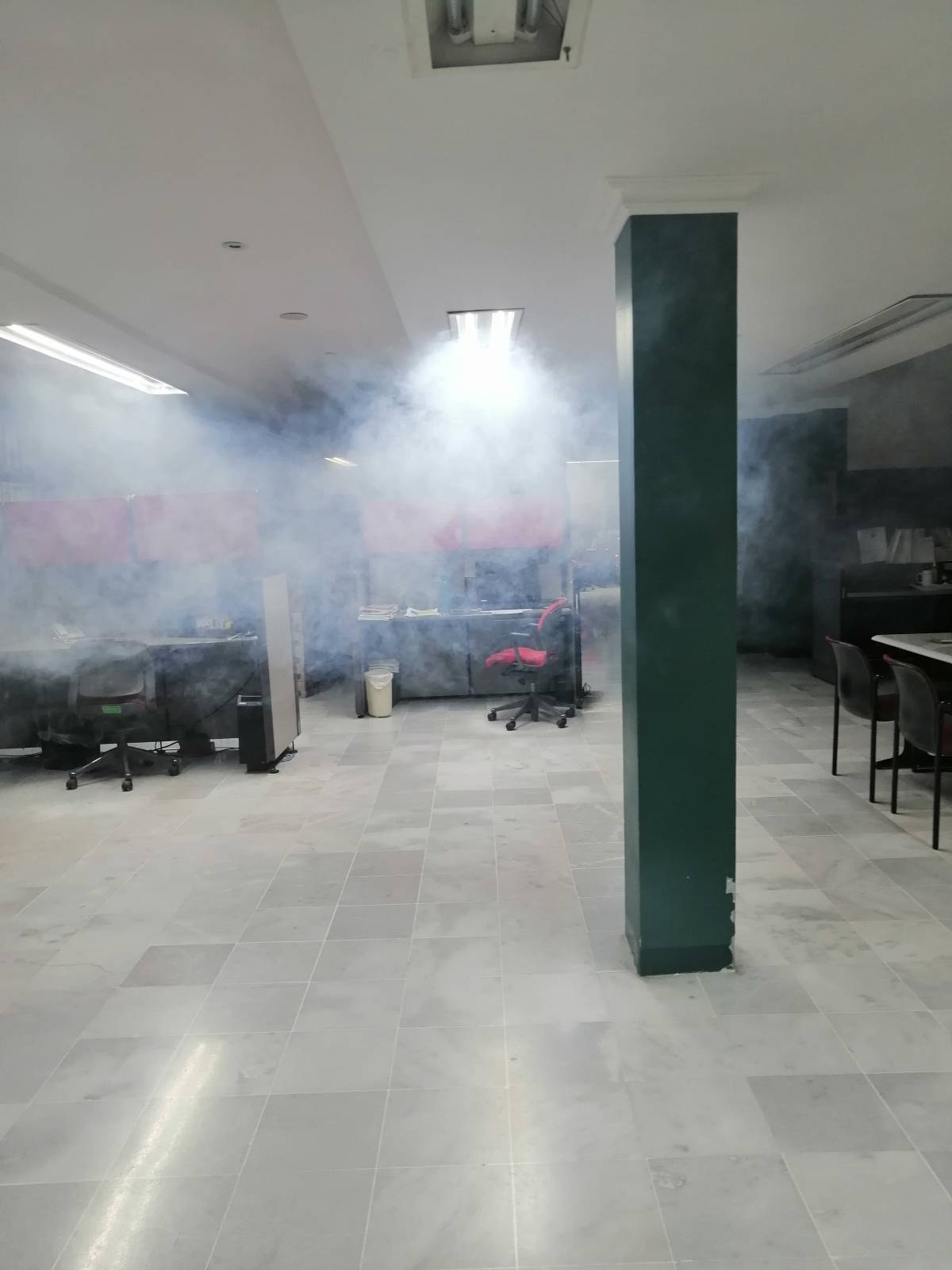 JBfumigaciones - Guadalajara - Control de plagas