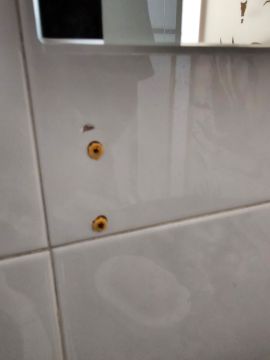 Tile Repair Specialist