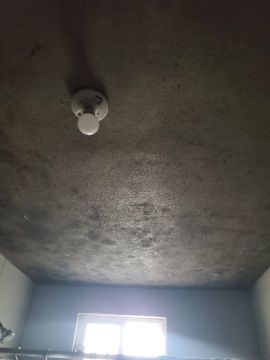 Experto en eliminación de moho