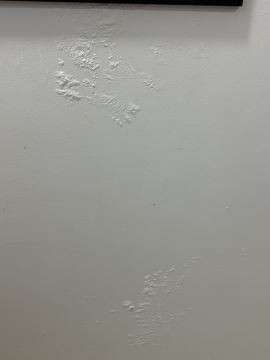 Inspección y eliminación de moho