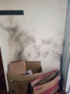 Cleaning