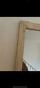 Mold Removal Expert