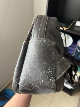 Mold Removal Expert