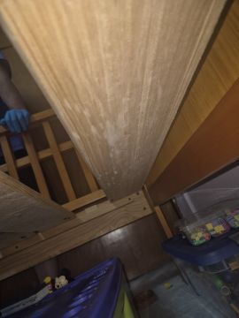 Cleaning