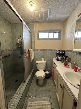 Mold Inspection and Removal