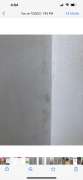 Mold Inspection and Removal