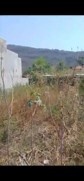 Land clearance specialist