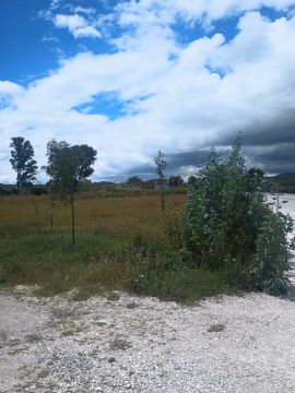 Empresa de limpieza de terrenos