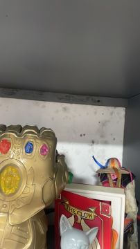 Inspección y eliminación de moho