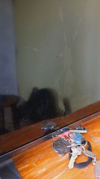 TV Repair Specialist