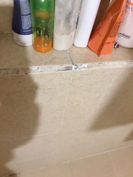 Mold Removal Expert - Domestic Services