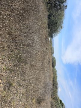 Land clearance specialist - Home Improvements