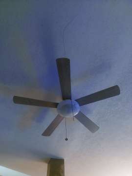 Fan Repairman