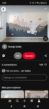 Pintor de murales
