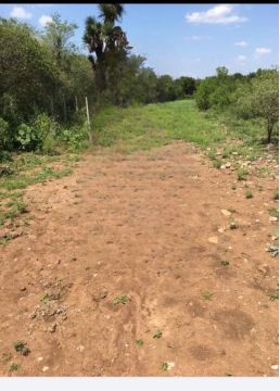 Land clearance specialist