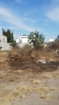 Limpieza de terrenos