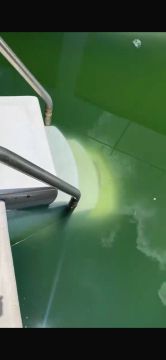 Pool Cleaner