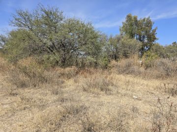 Land clearance specialist