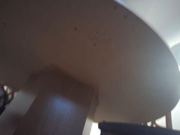 Furniture Repair Professional