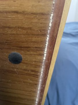 Inspección y eliminación de moho
