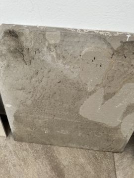Mold Inspection and Removal - Cleaning