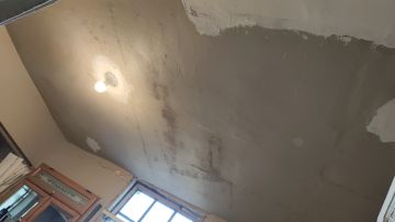 Mold Inspection and Removal
