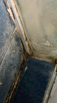Mold Inspection and Removal