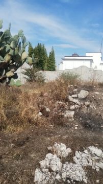 Jardinería