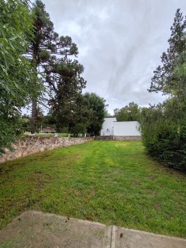 Tent Rental